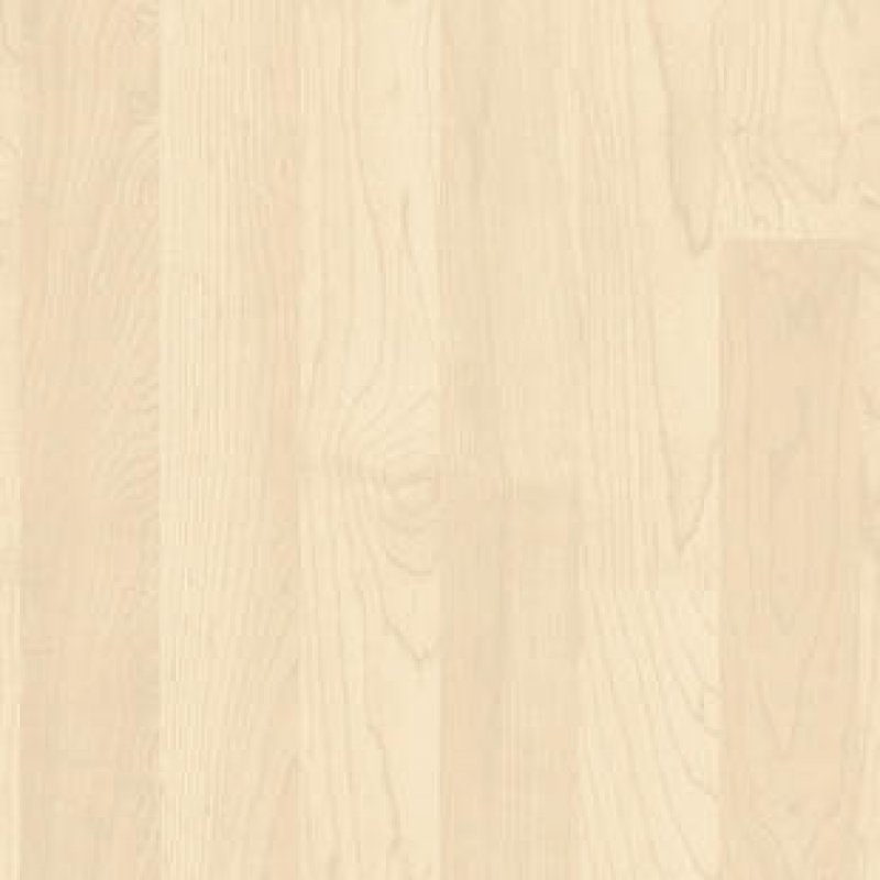 Maple LIGHT MAPLE