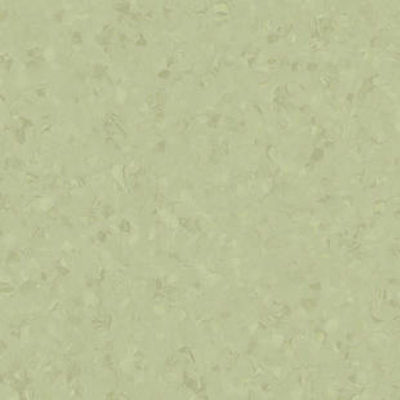 LIGHT OLIVE GREEN 0769